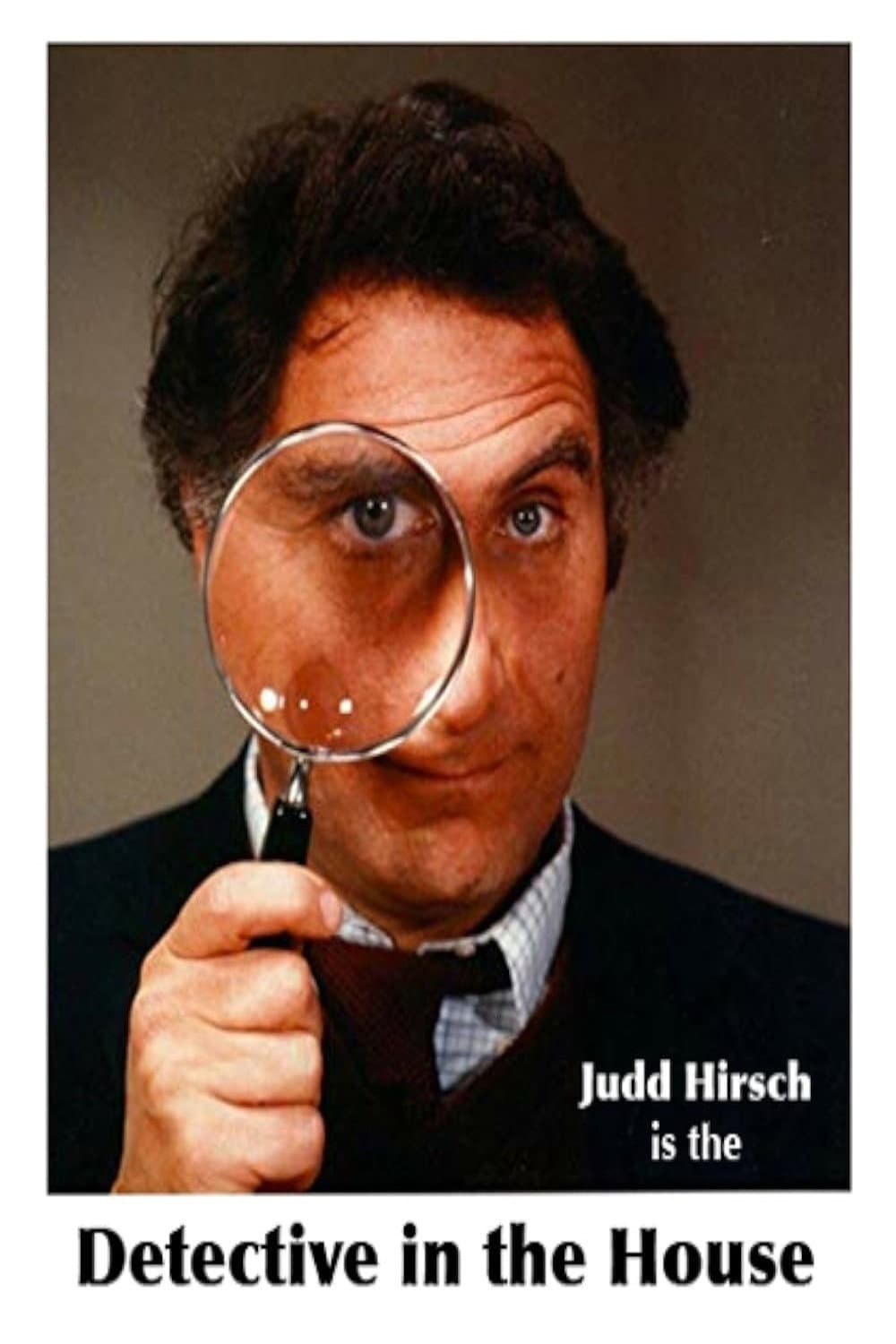 Poster di Detective in the House