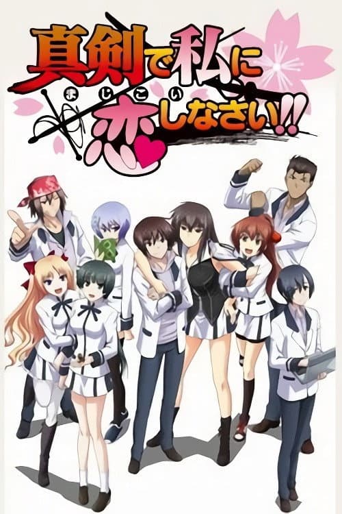 Poster di Majikoi ~ Oh! Samurai Girls!