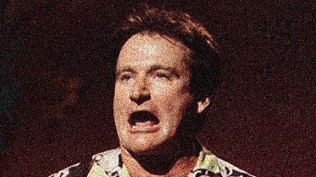 An Evening with Robin Williams - immagine