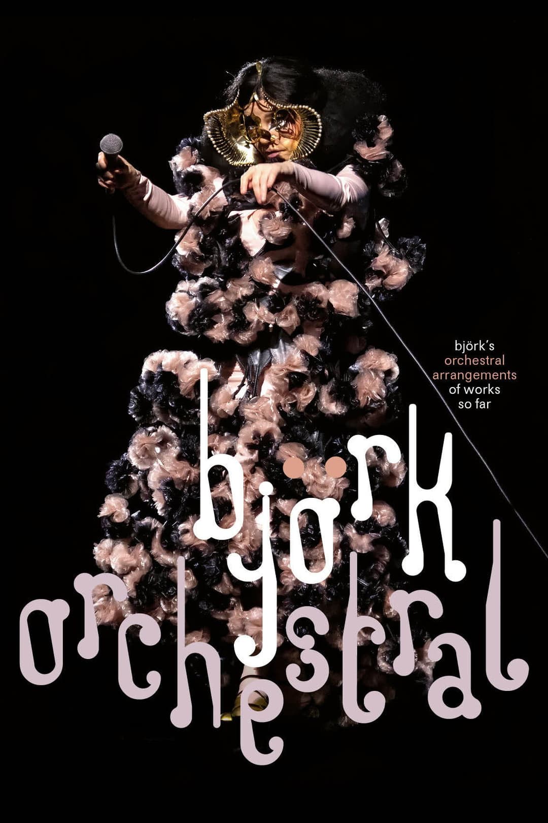 Poster di Björk Orkestral