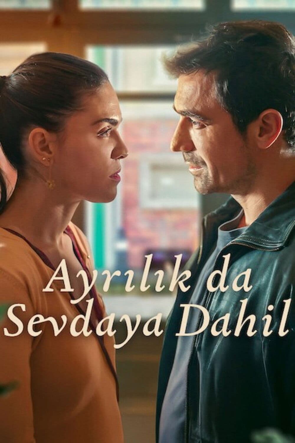 Poster di Amare e perdere