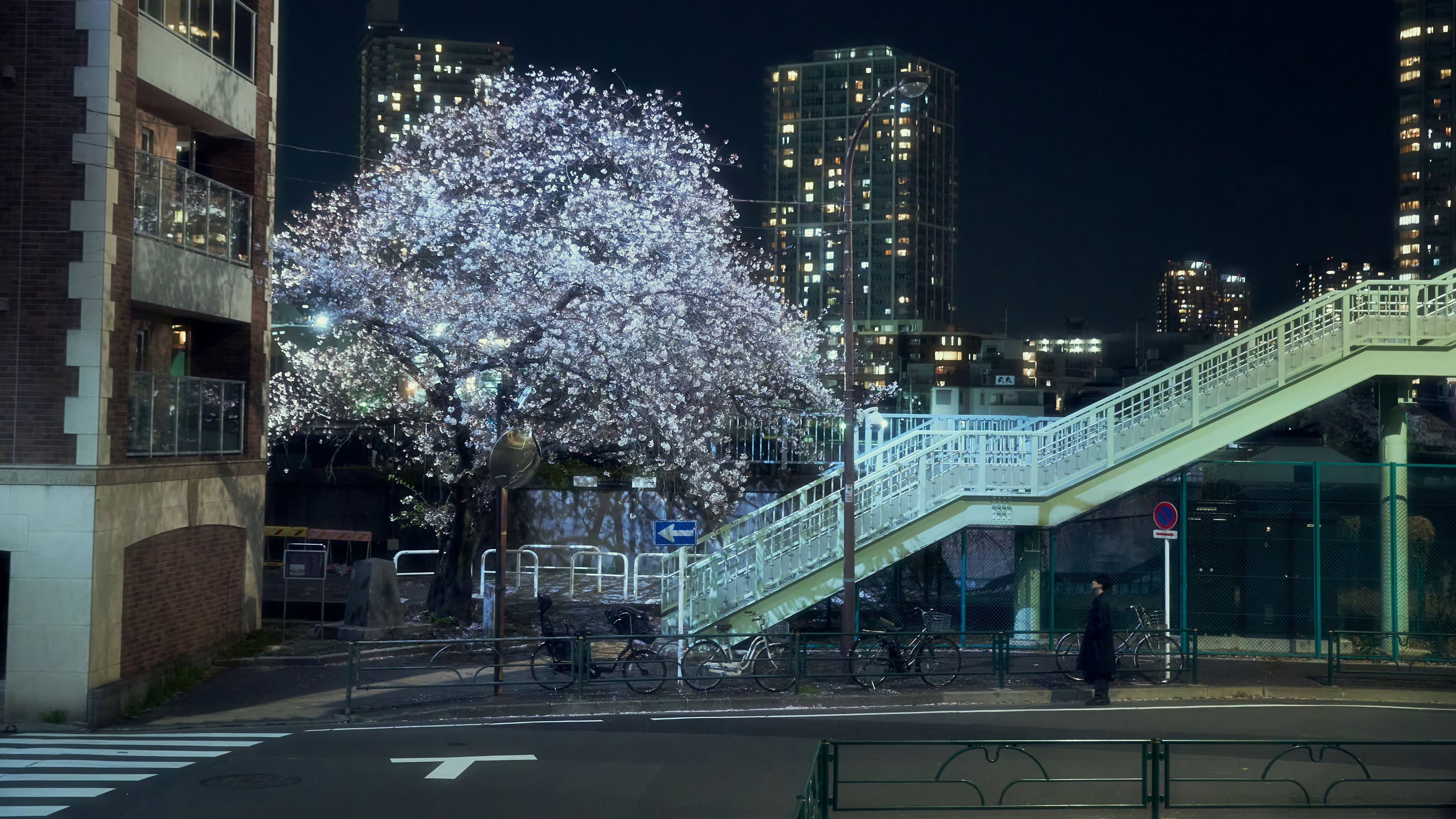 April, Come She Will - immagine