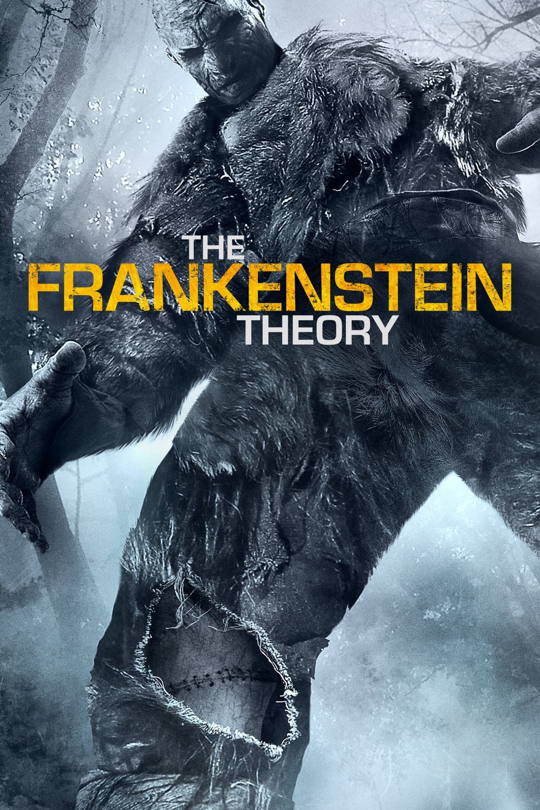Poster di The Frankenstein Theory