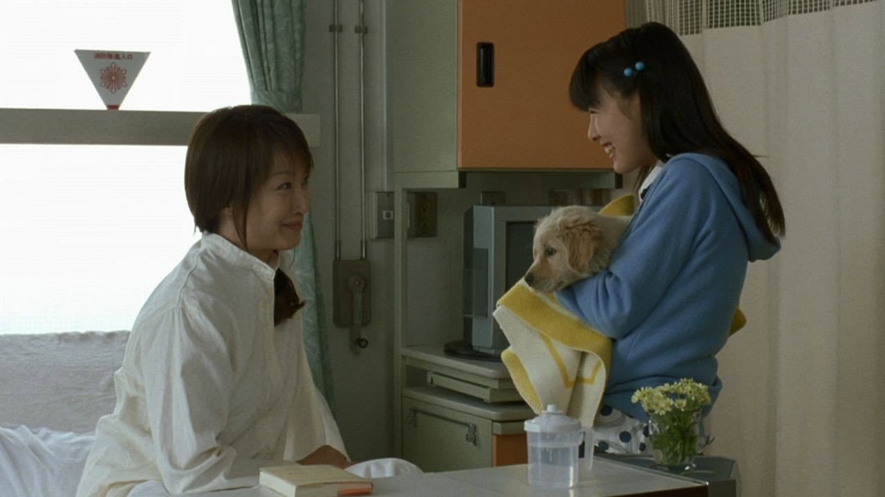 10 Promises to My Dog - immagine