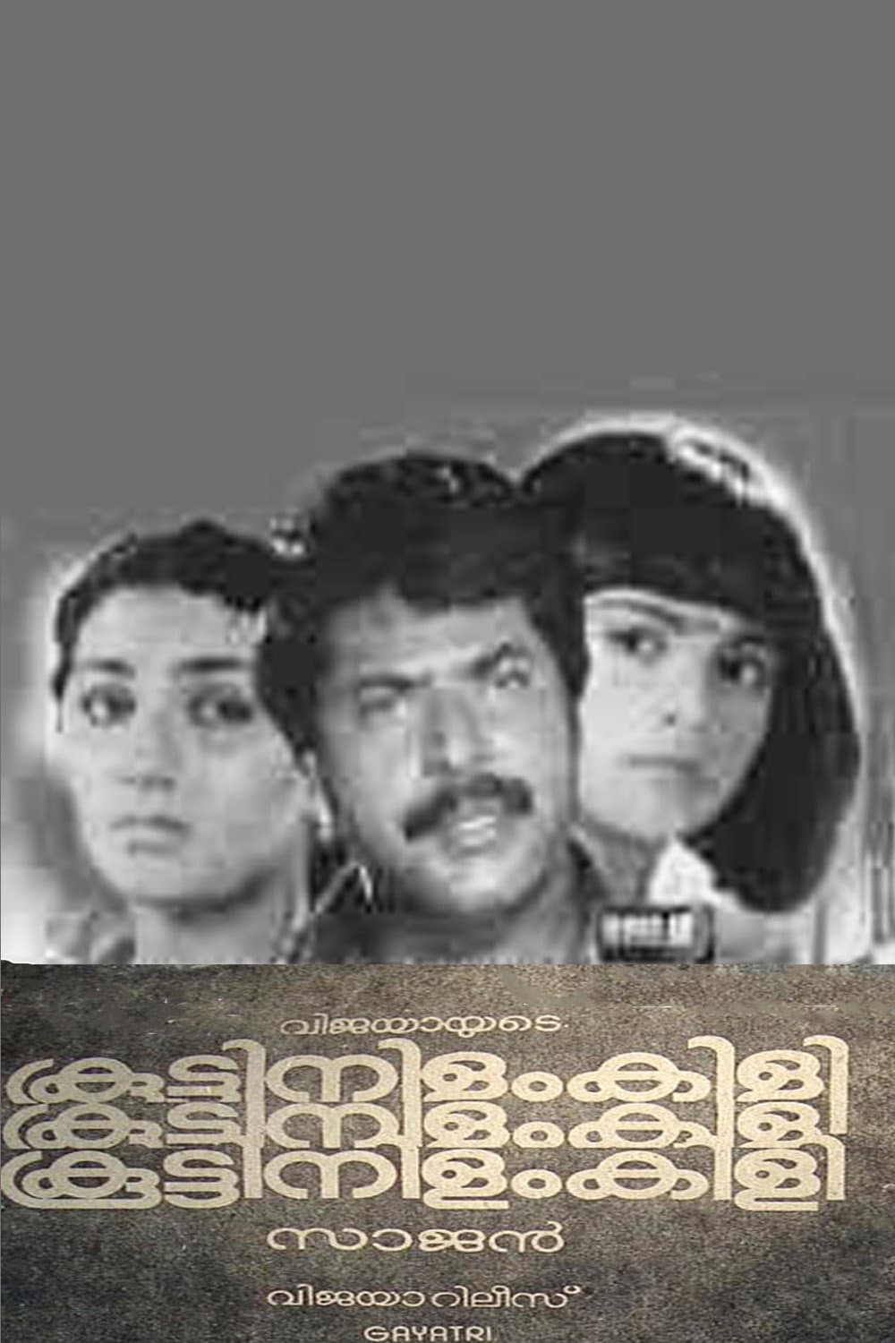 Poster di കൂട്ടിനിളംകിളി