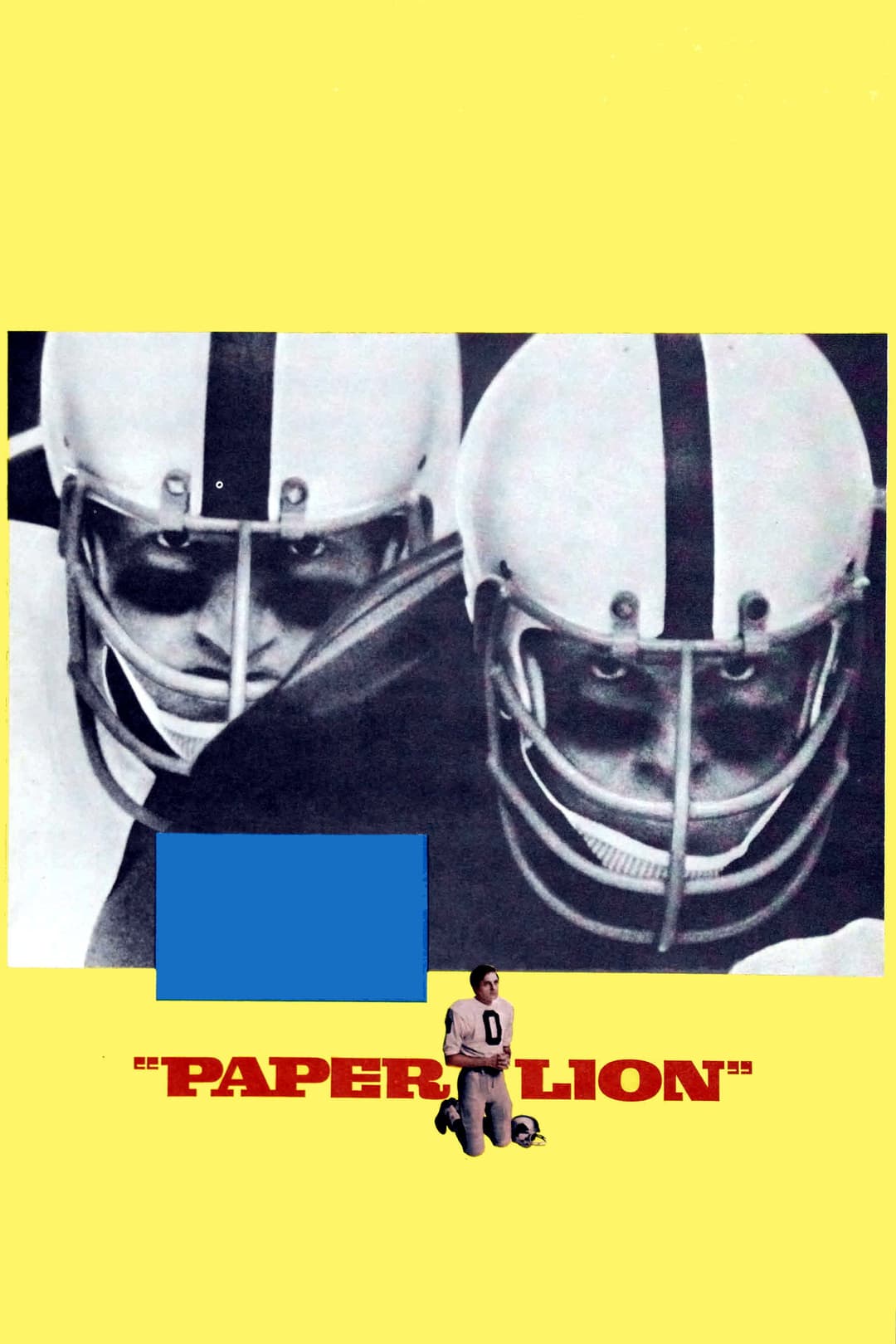 Poster di Paper Lion