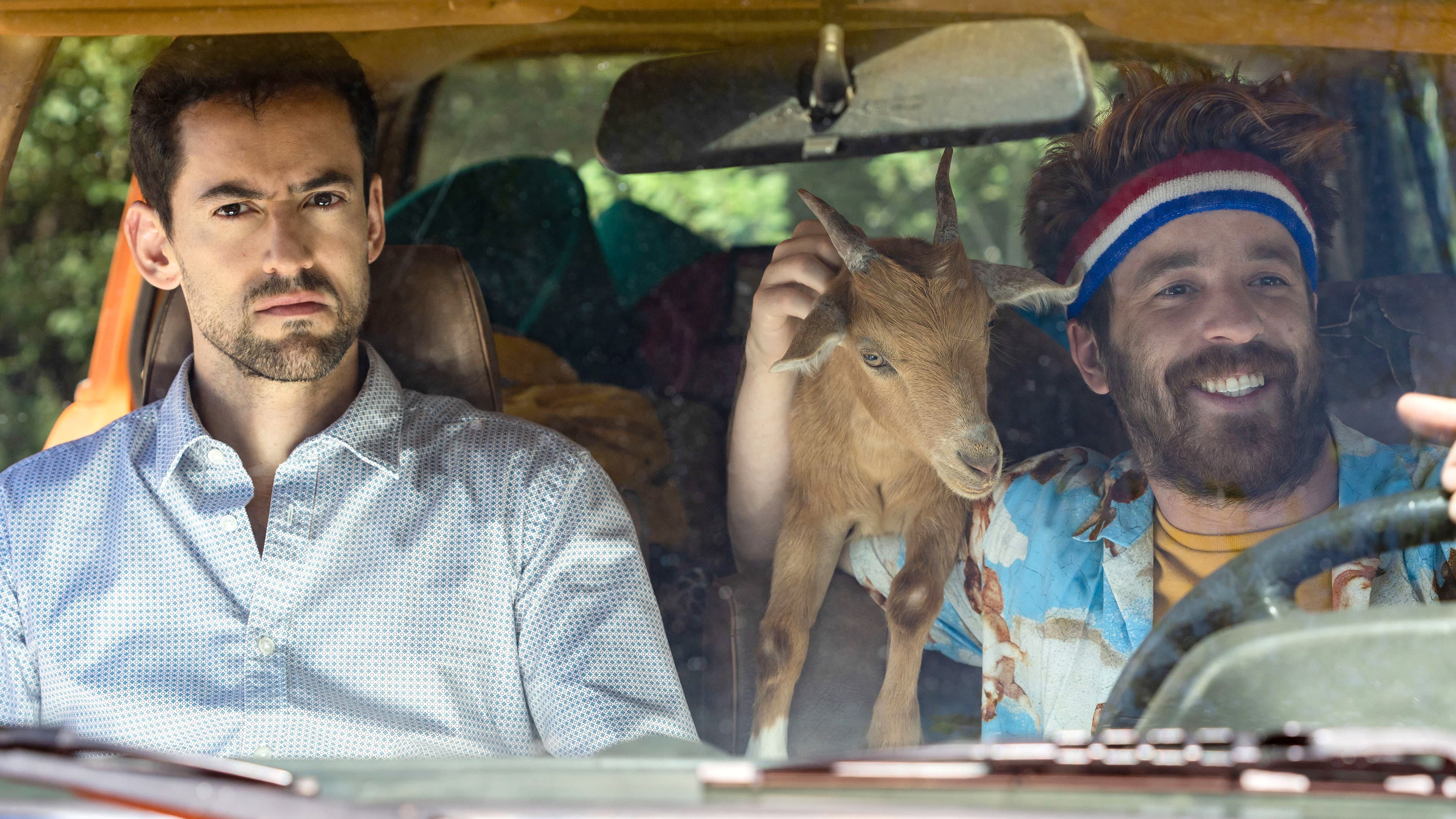 Fratellastri in viaggio - immagine