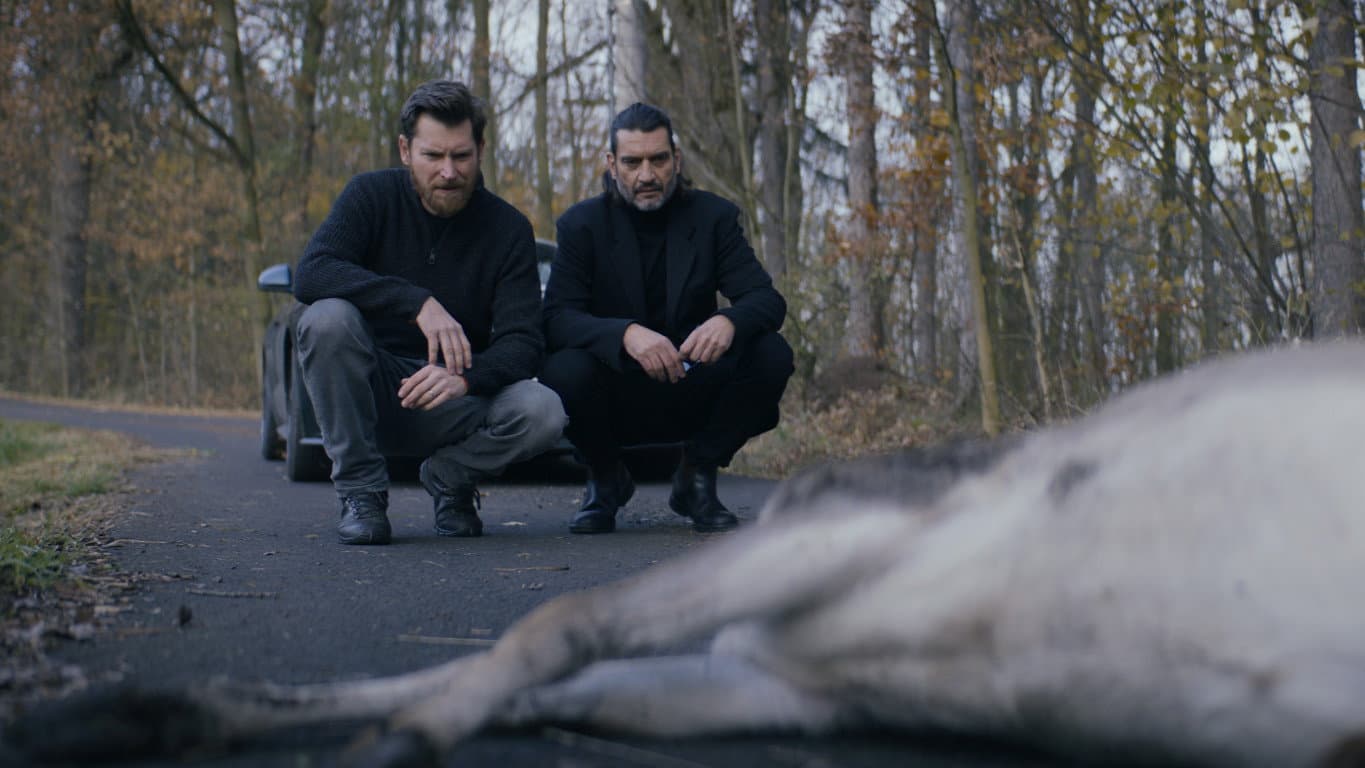 Dvě slova jako klíč - immagine