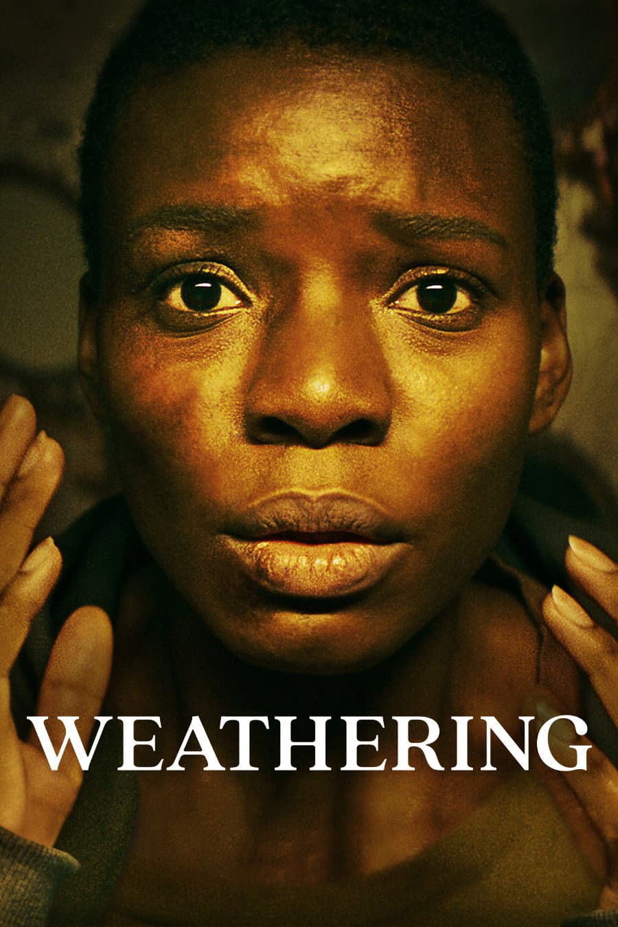 Poster di Weathering