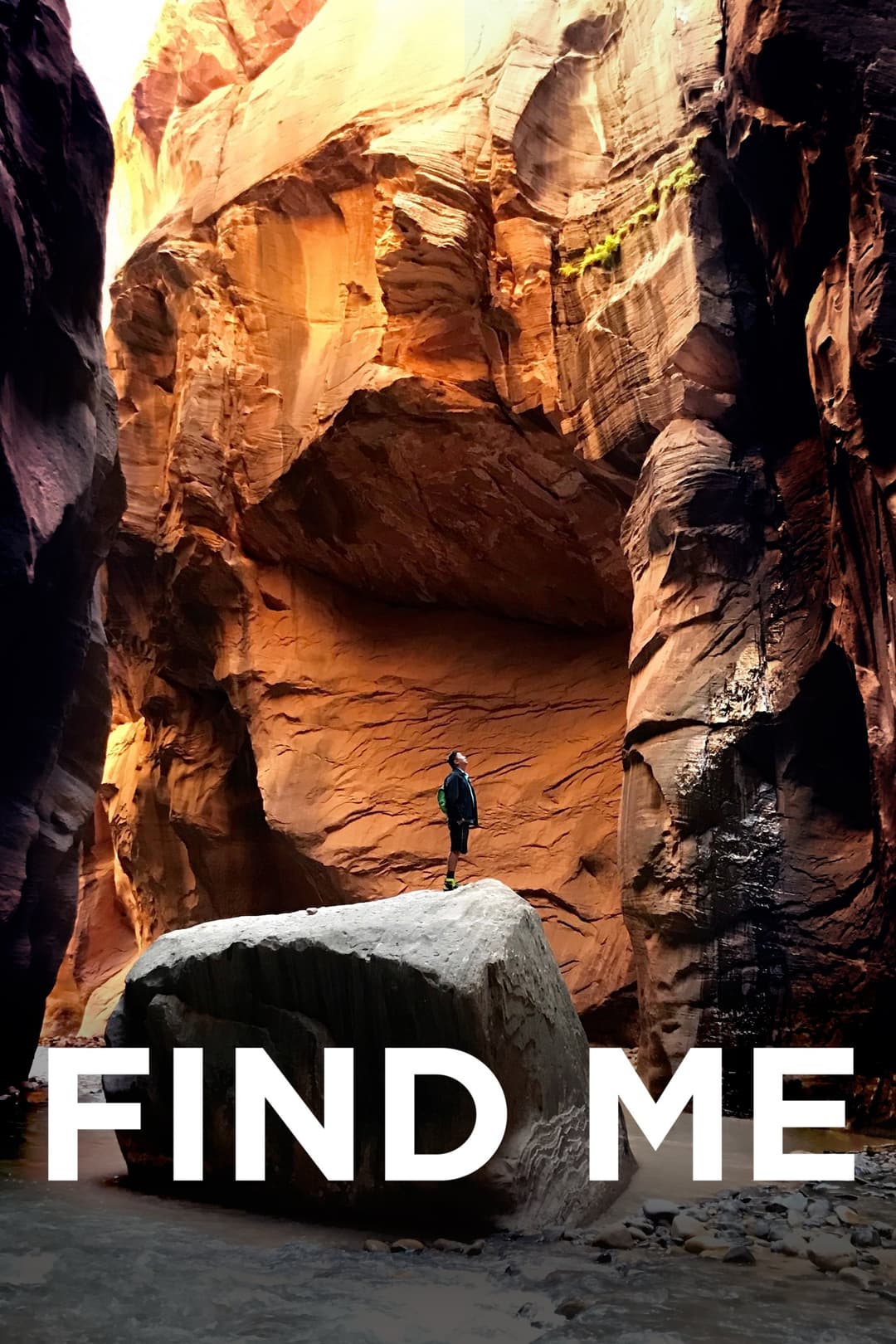 Poster di Find Me