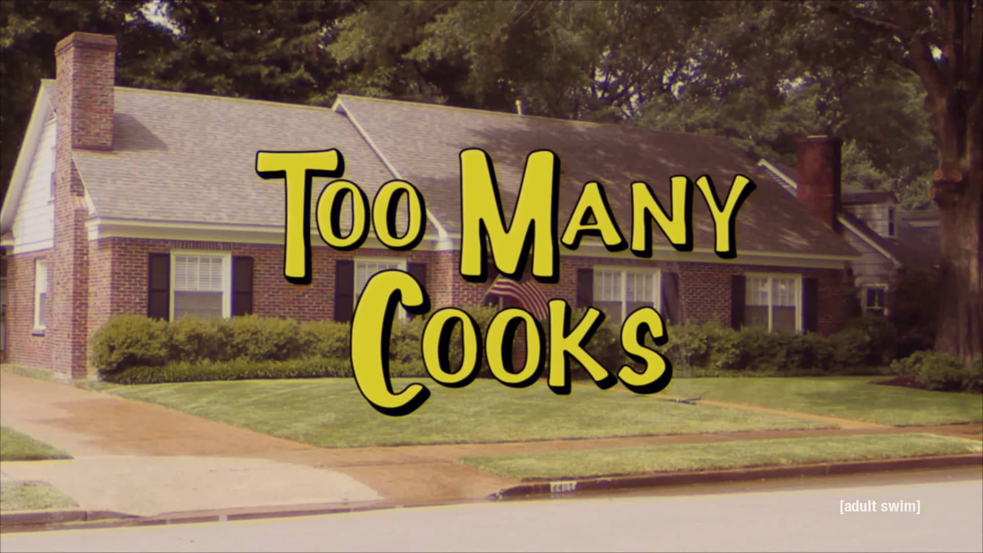 Too Many Cooks - immagine