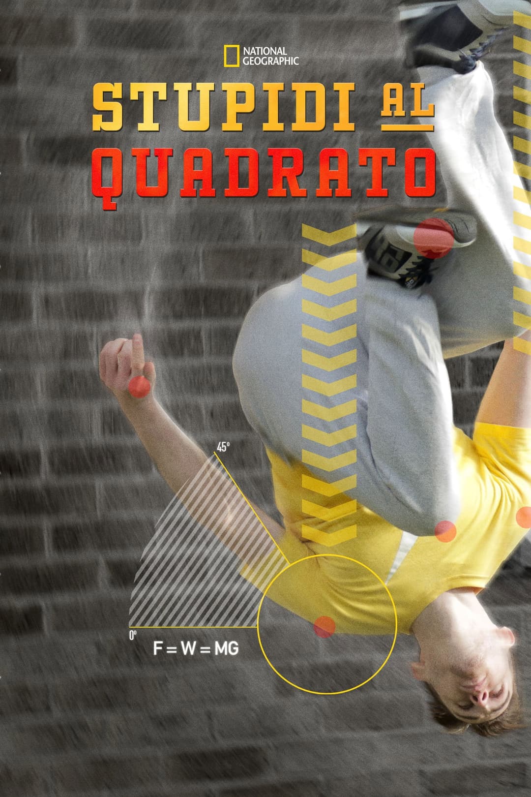 Poster di Stupidi al quadrato
