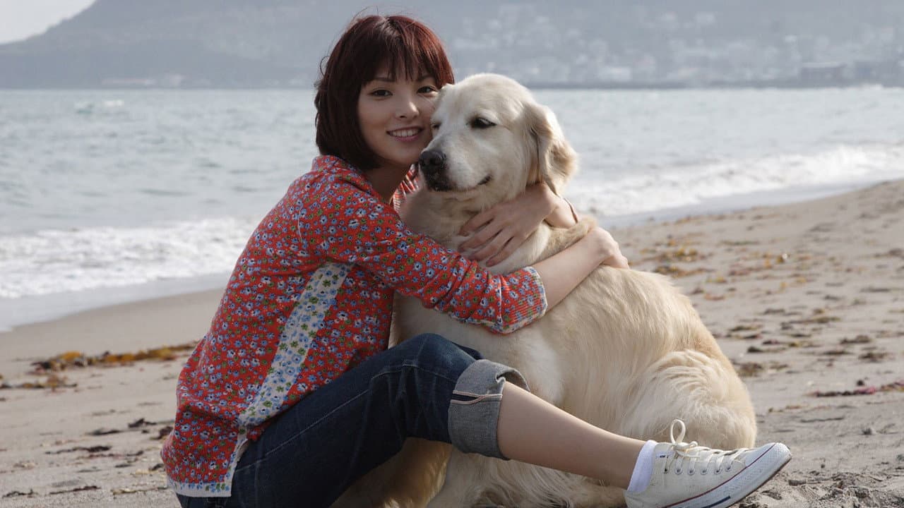 10 Promises to My Dog - immagine