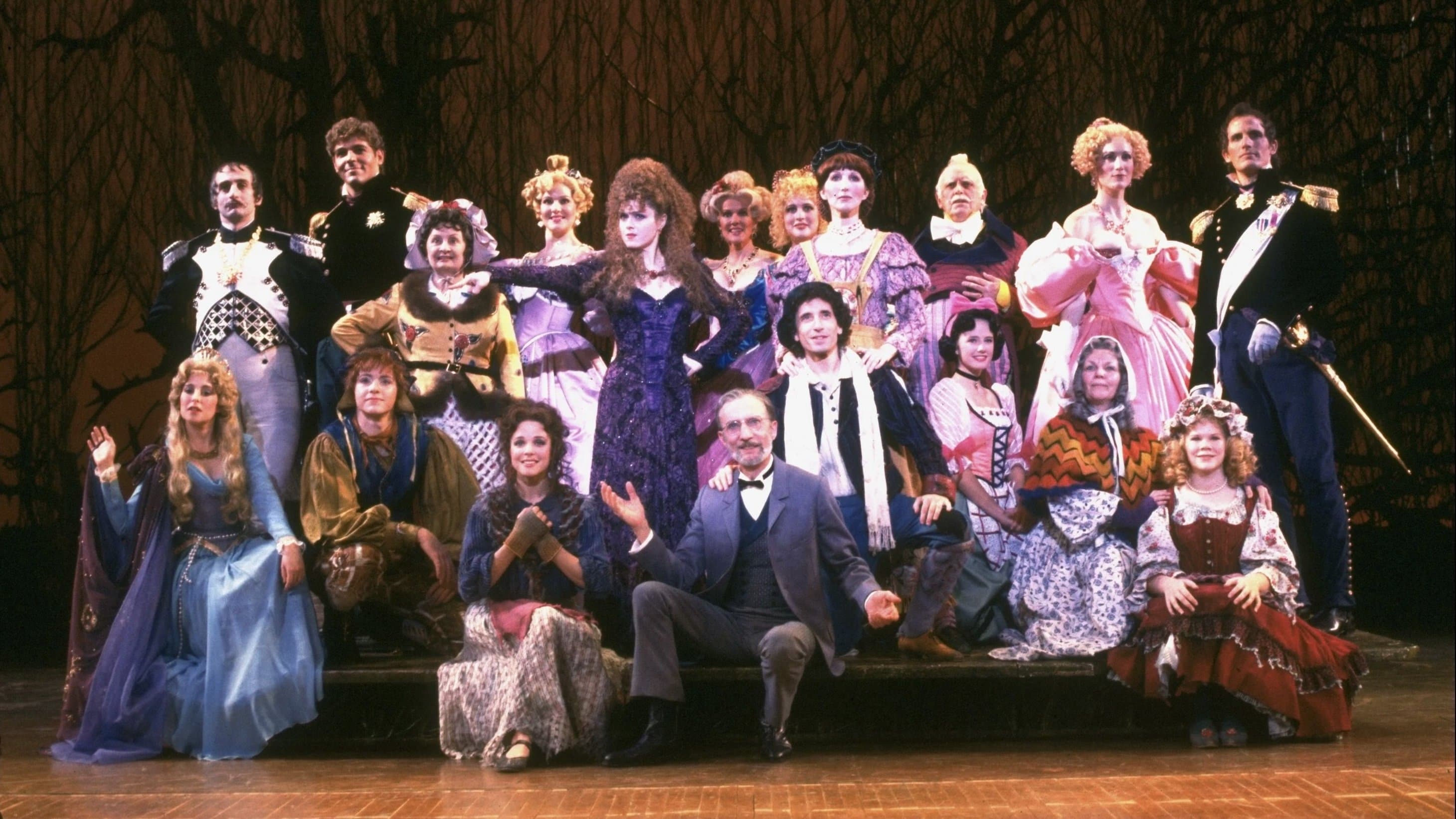 Into the Woods - immagine