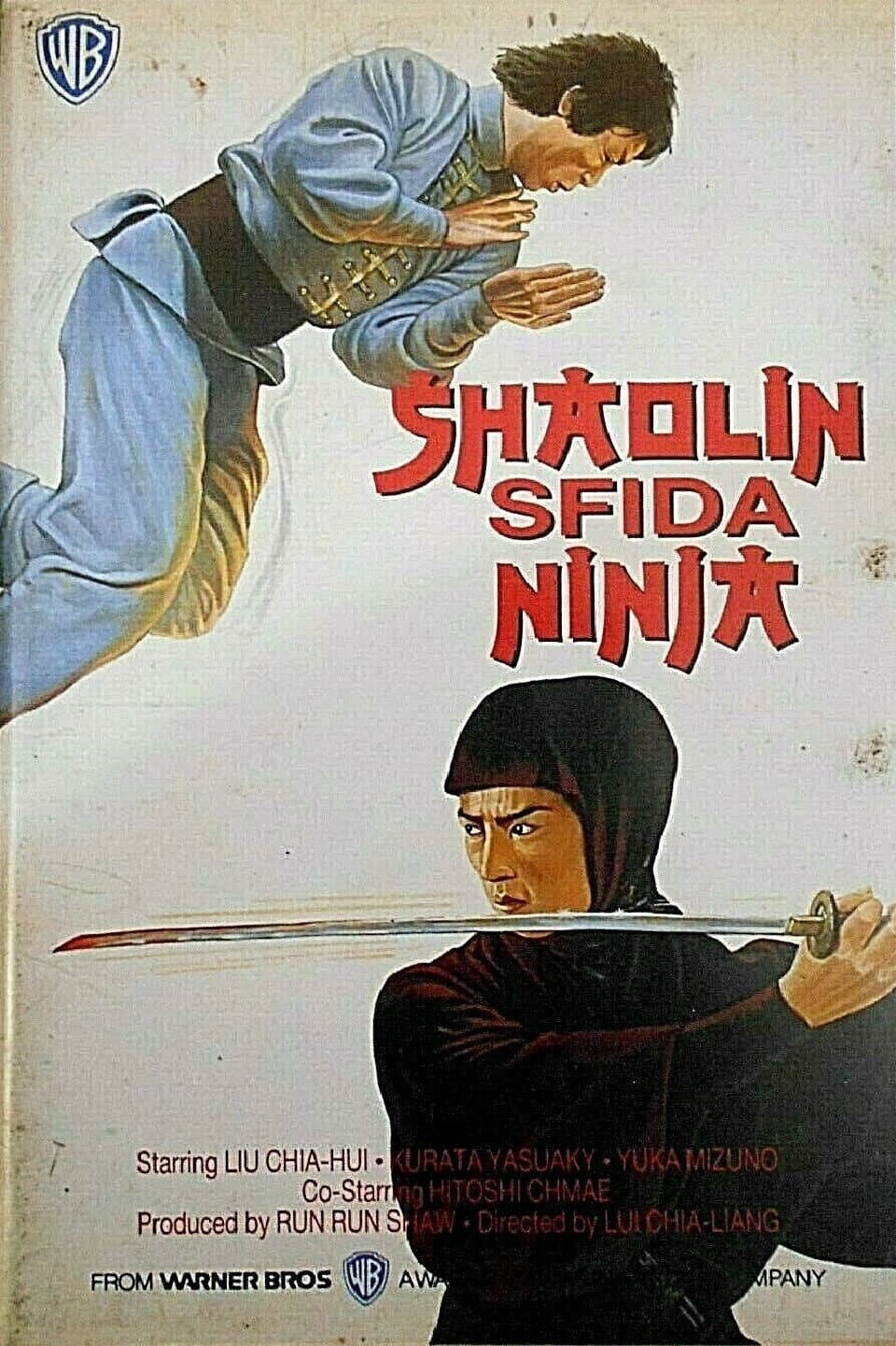 Poster di Shaolin sfida ninja