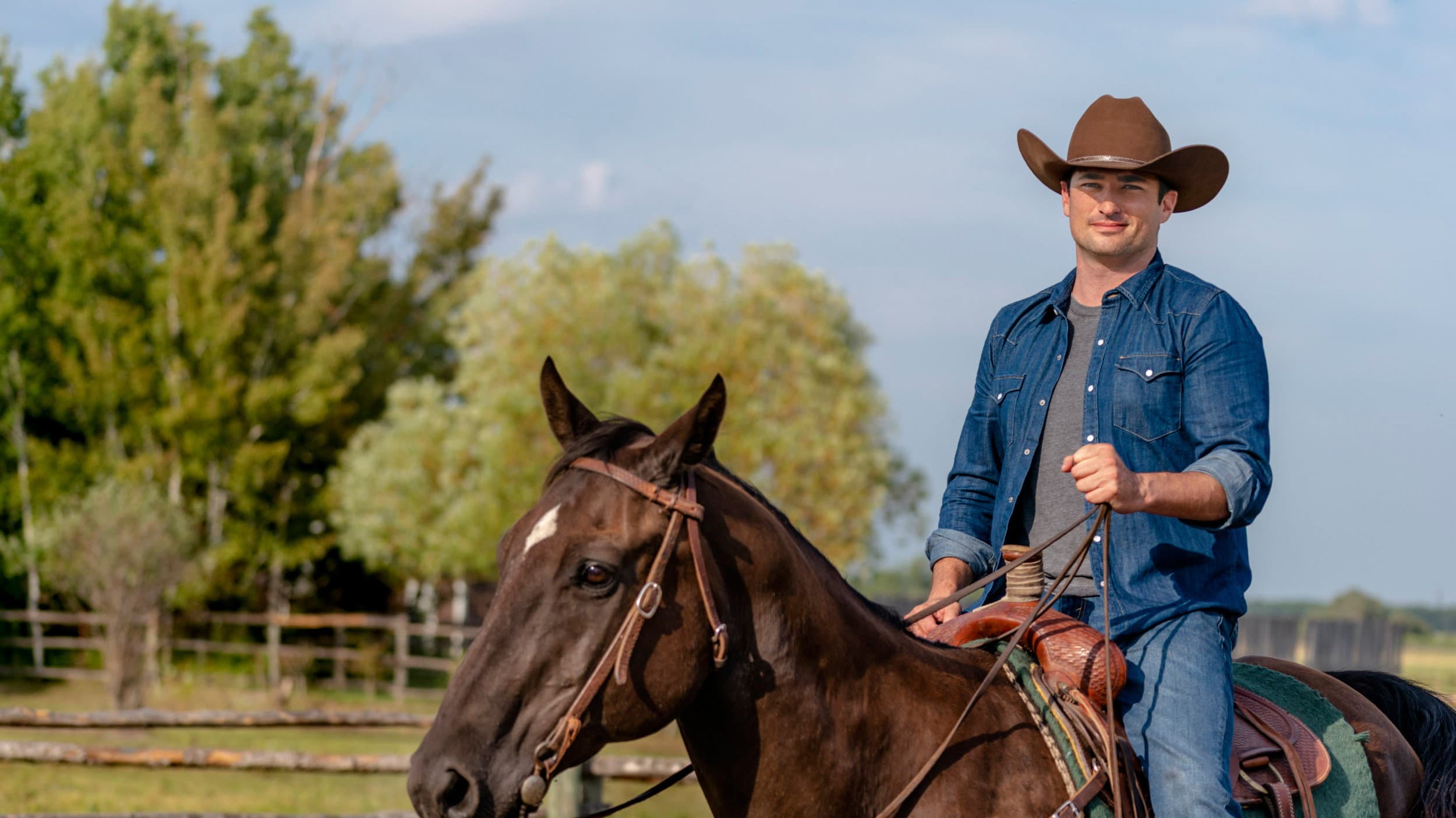 Amore a Harmony Ranch - immagine