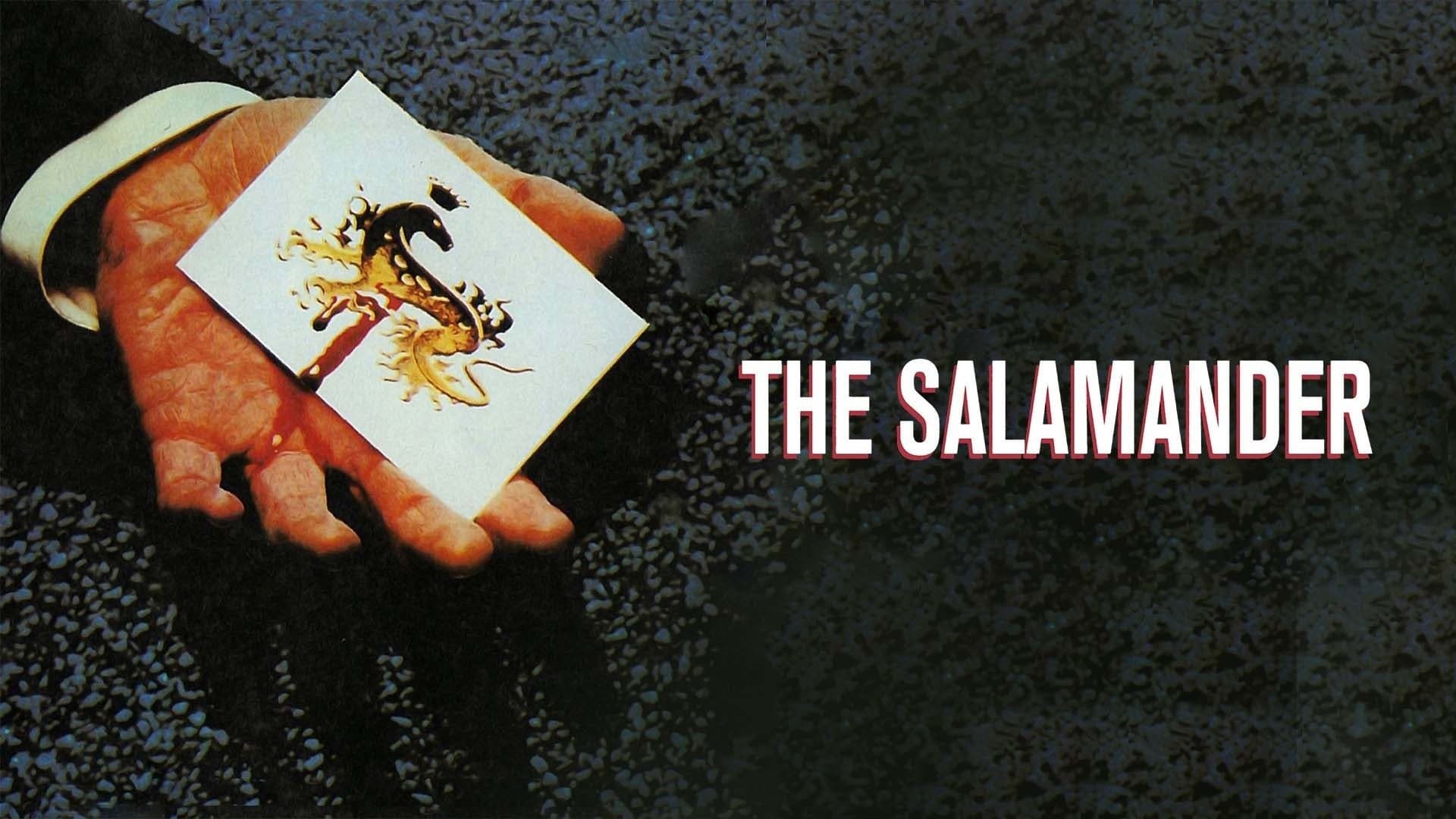 La salamandra - immagine