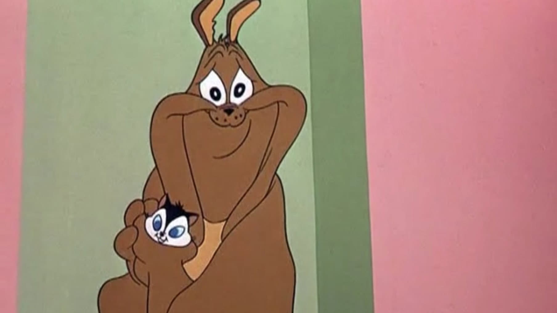 Un micio per amico - immagine