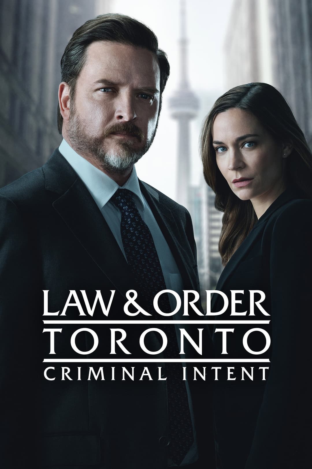 Poster di Law & Order Toronto: Criminal Intent