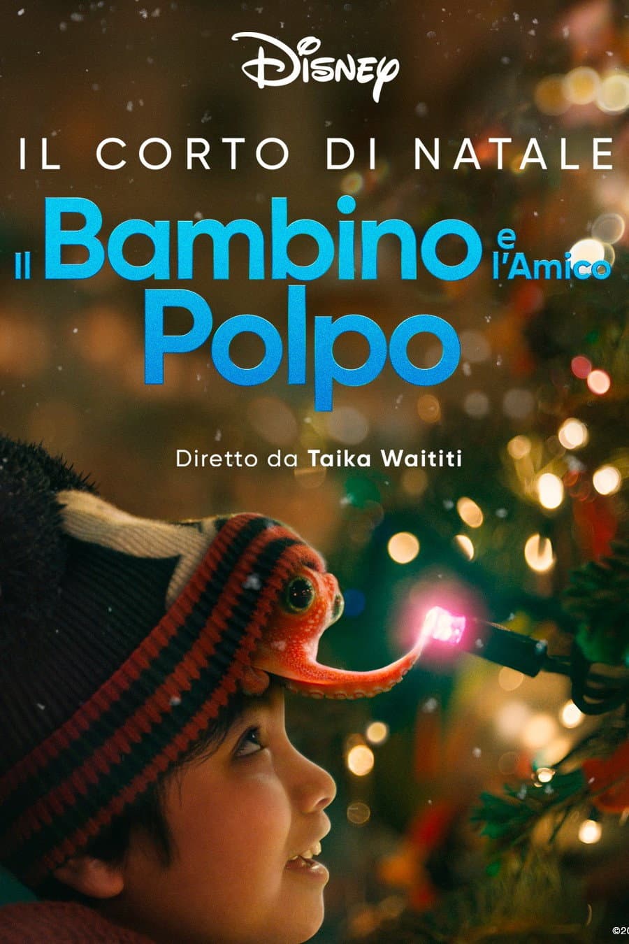 Poster di Il bambino e l'amico polpo