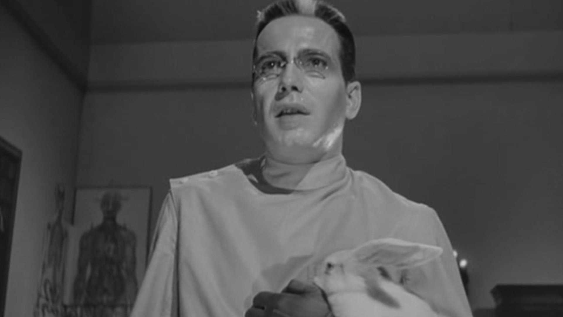 Il ritorno del dottor X - immagine