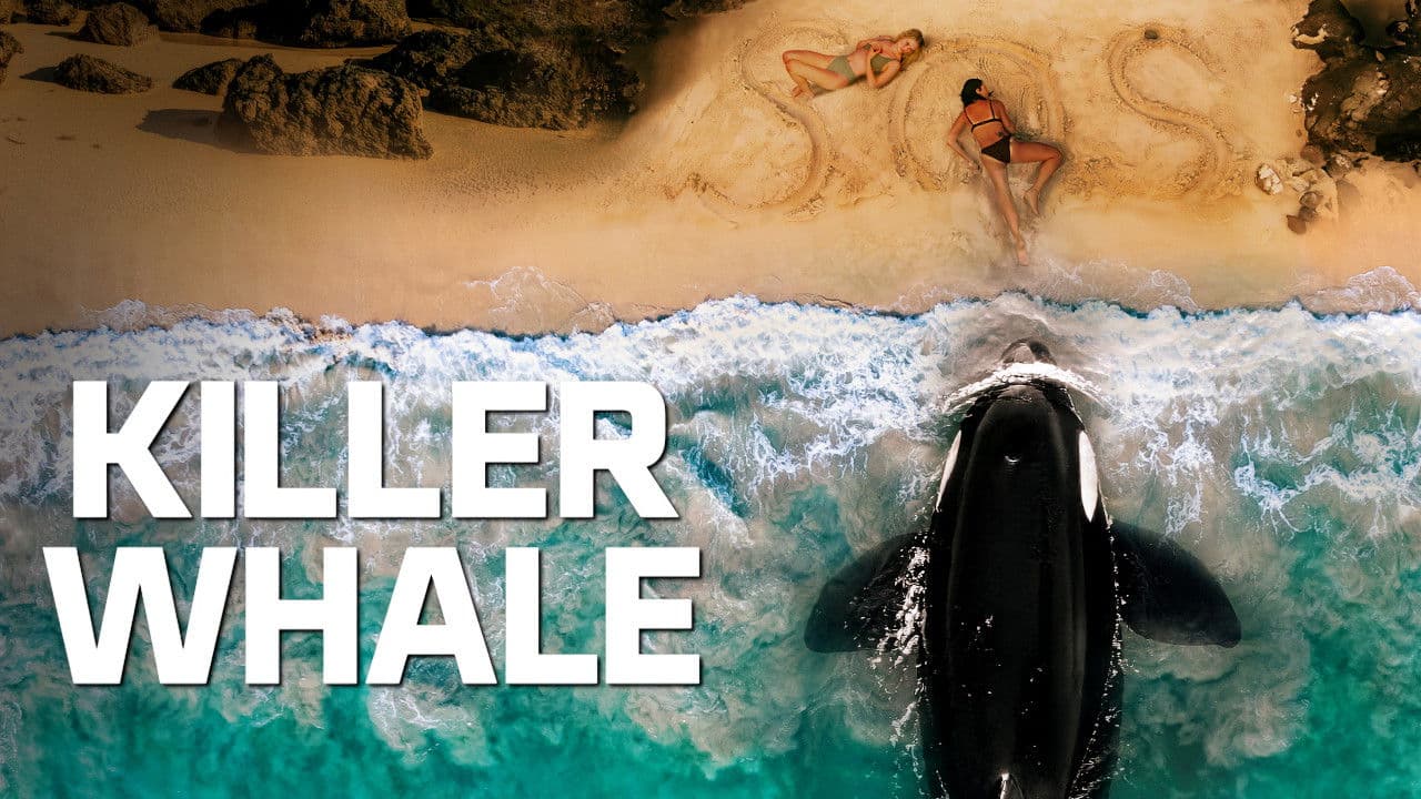 Killer Whale - immagine