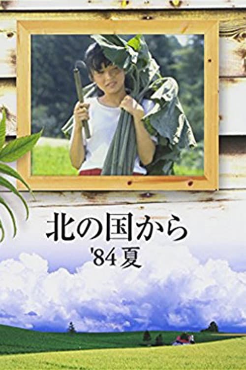 Poster di 北の国から'84夏