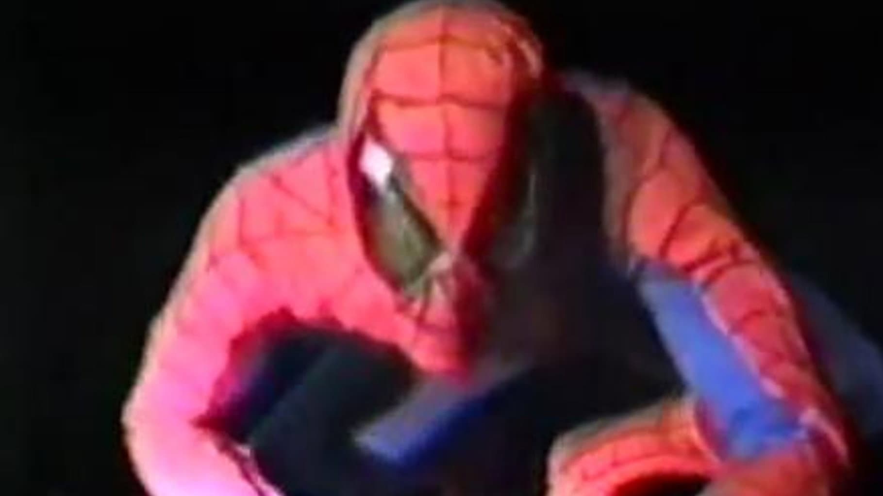 The Green Goblin's Last Stand - immagine