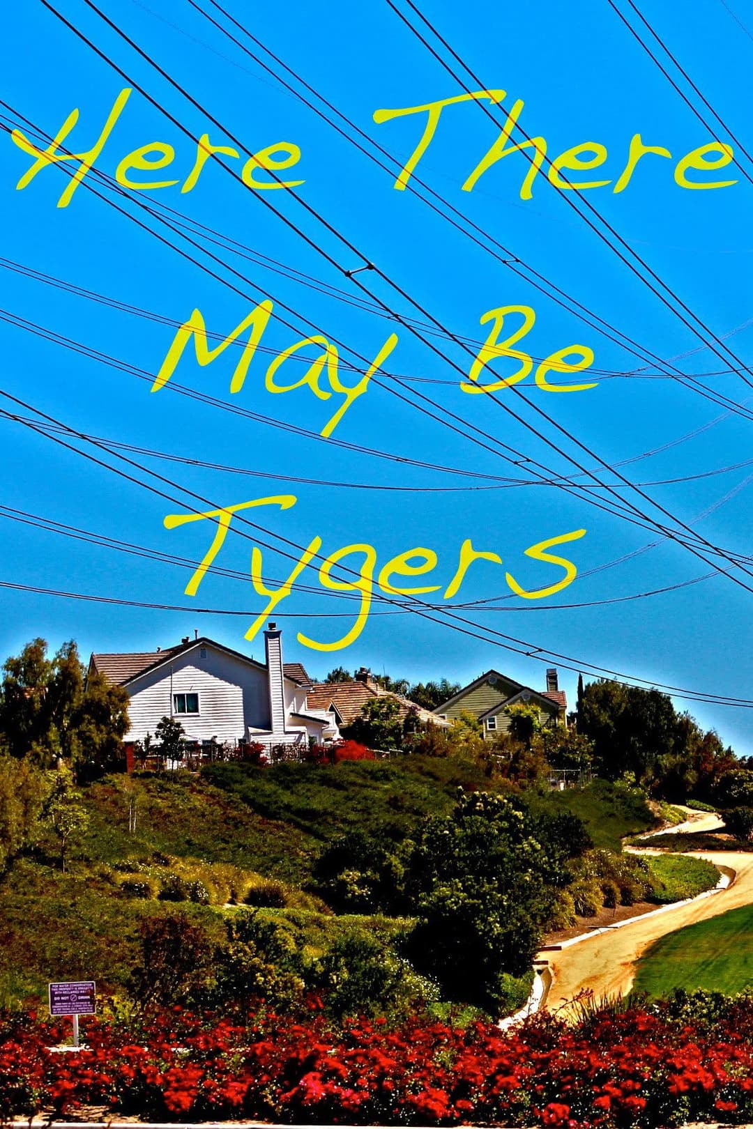 Poster di Here There May Be Tygers