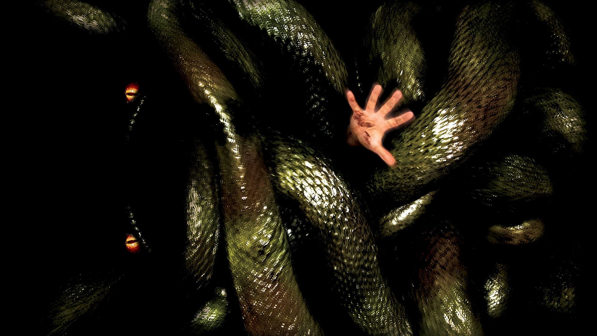 Anaconda  - Alla ricerca dell'orchidea maledetta - immagine