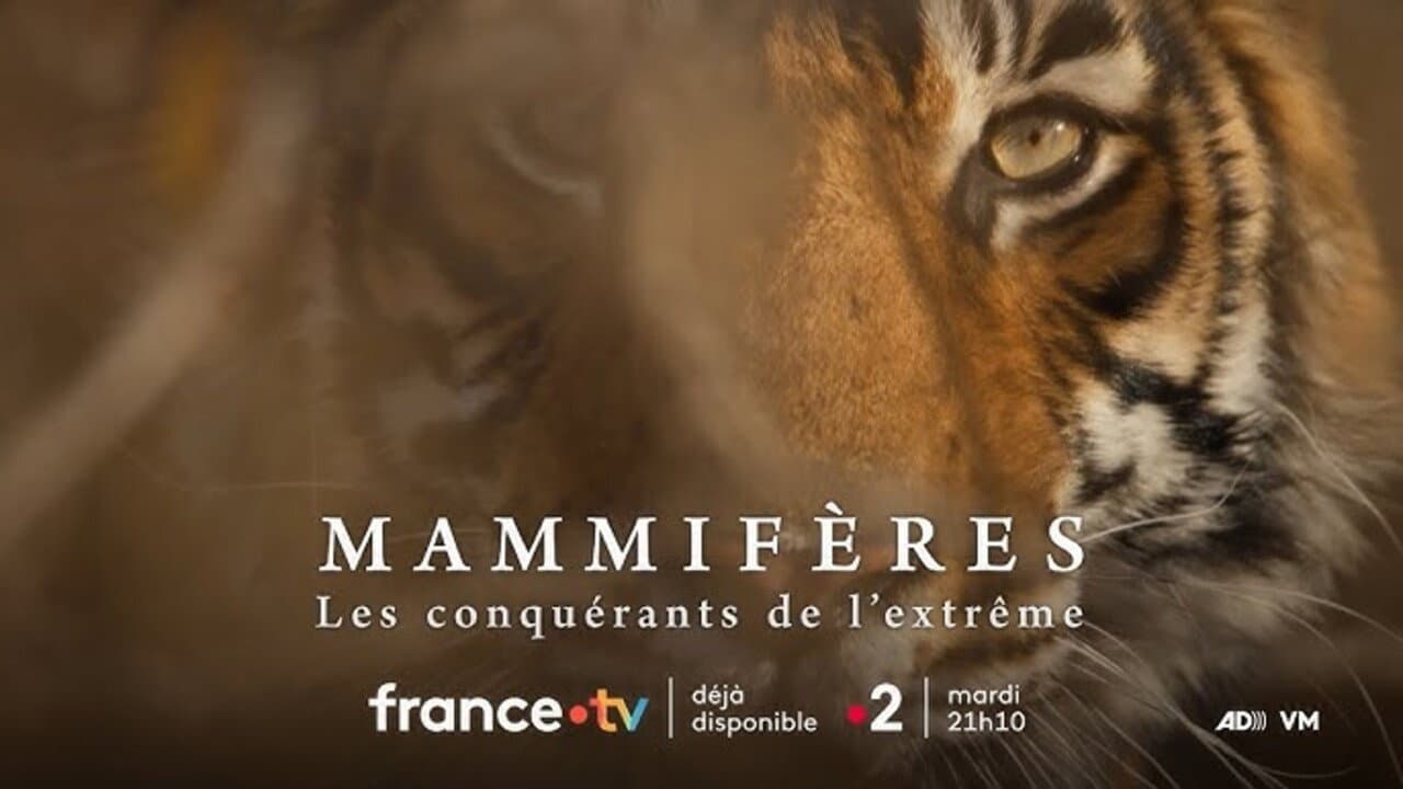 Mammifères, les conquérants de l'extrême - immagine