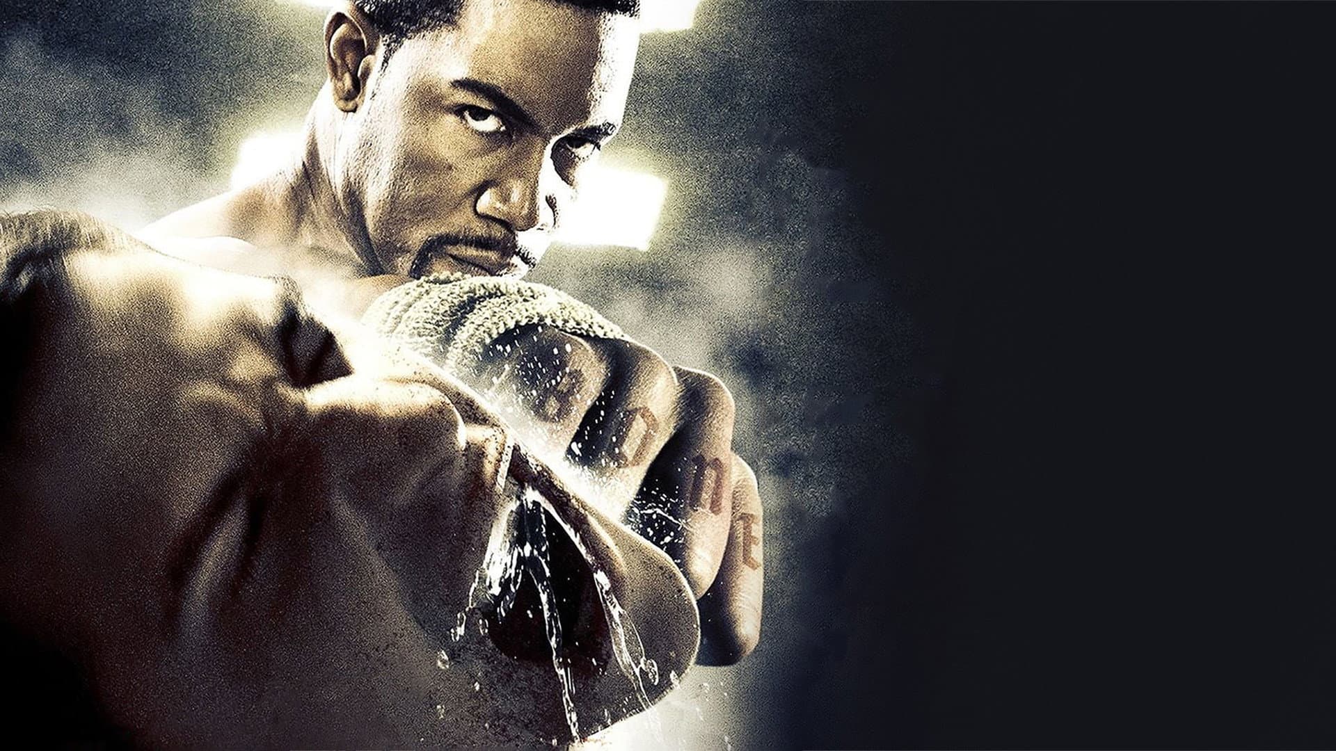 Blood and Bone - immagine