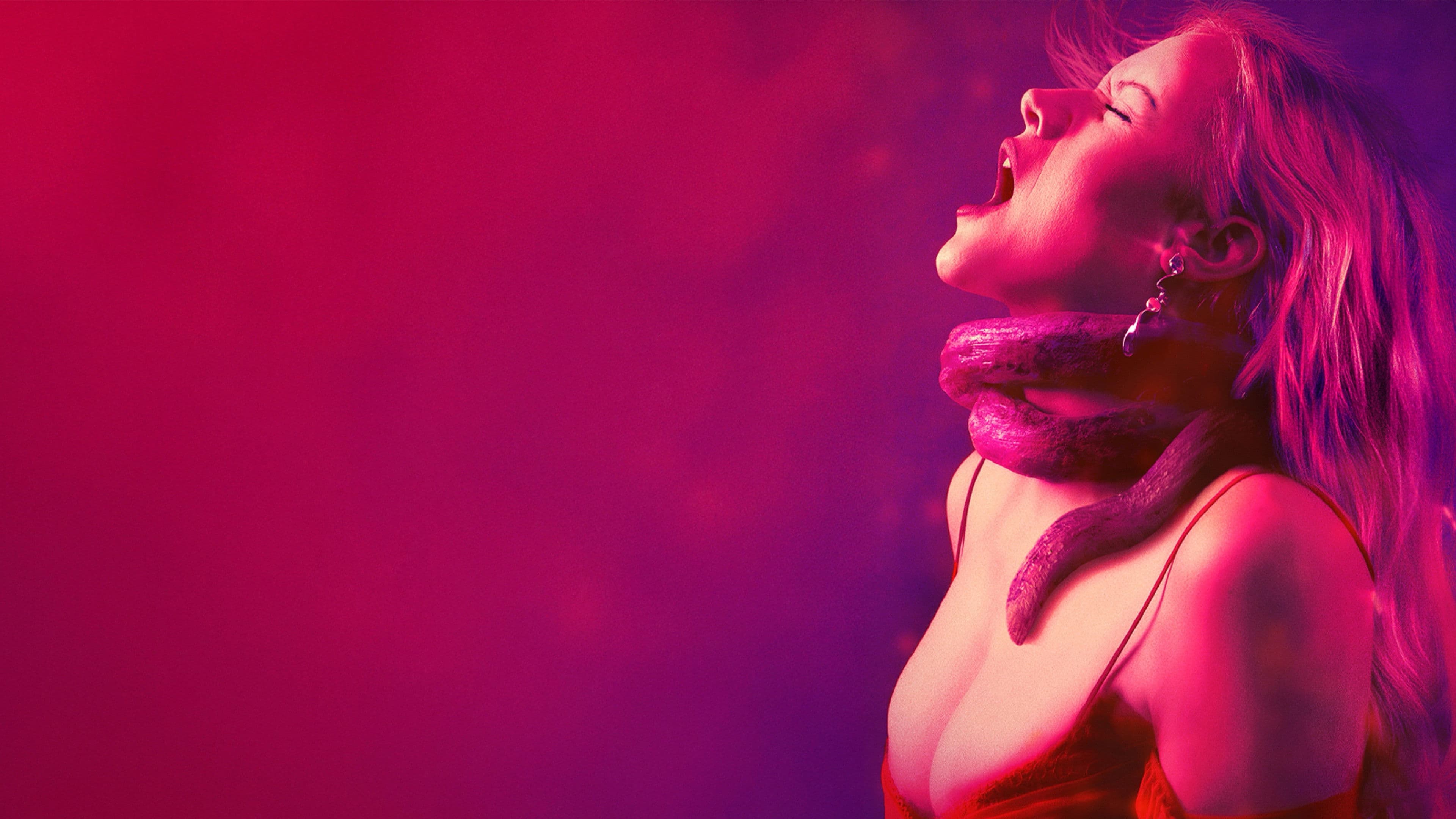 Touch Me - immagine