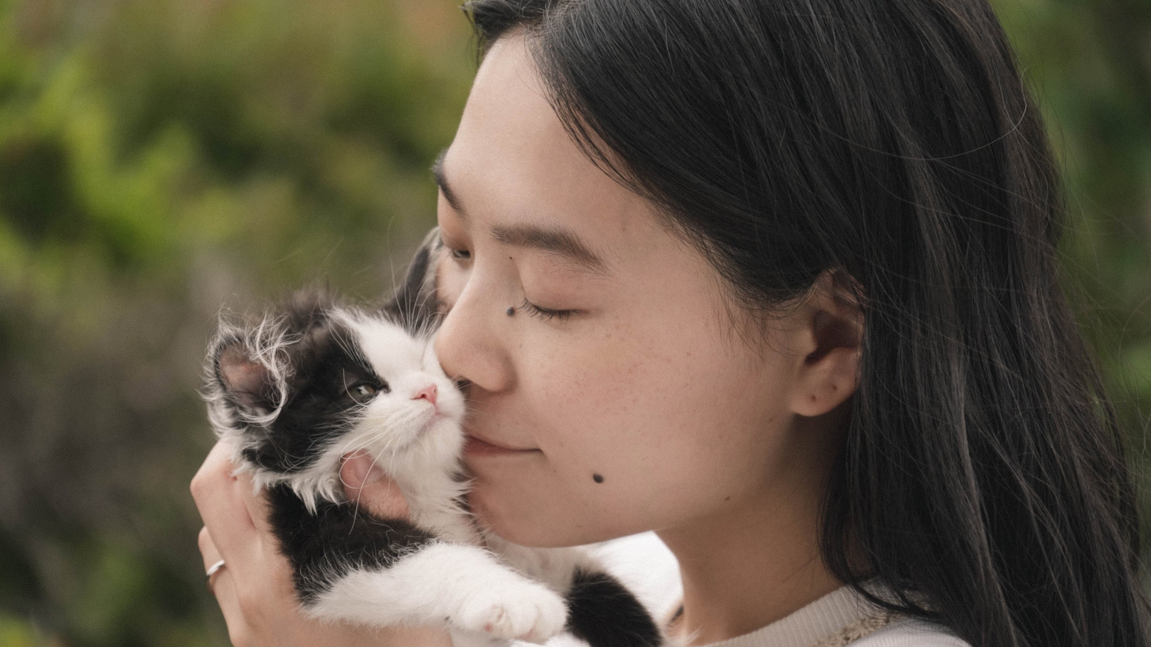 猫は逃げた - immagine