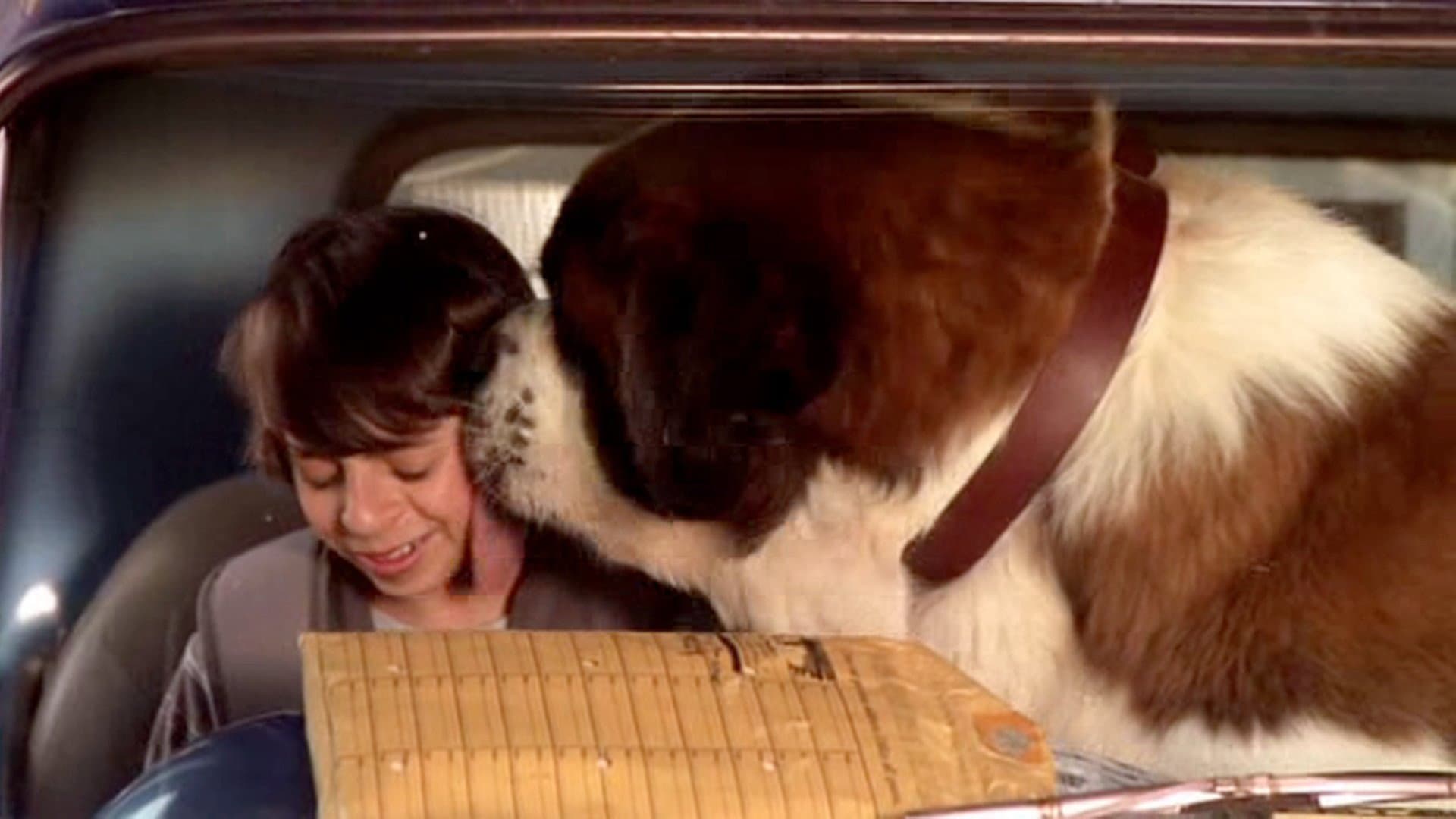 Beethoven - A caccia di Oss... car! - immagine