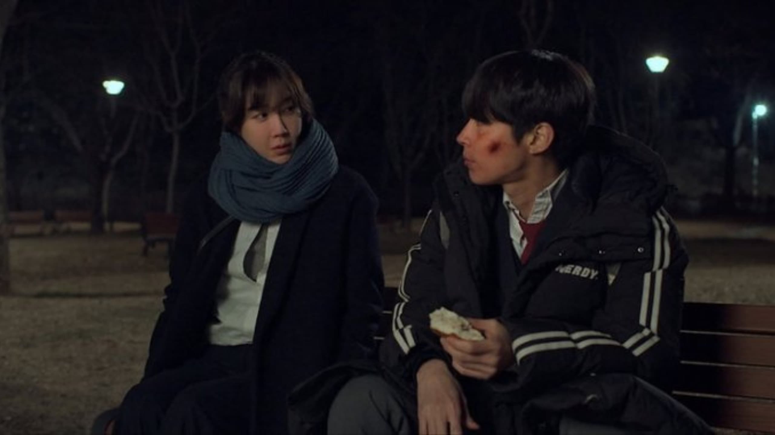 헤엄치는 새 - immagine
