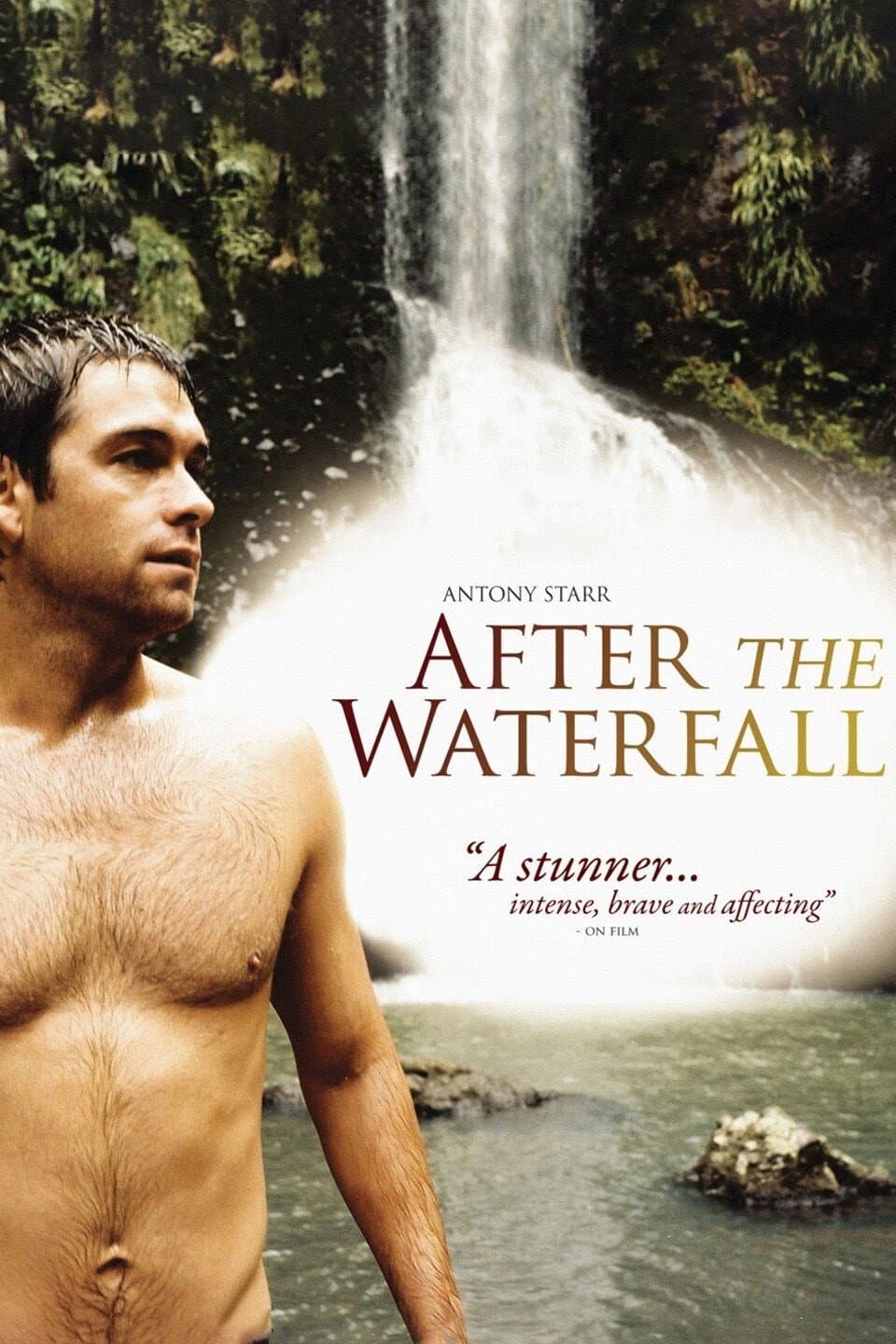 Poster di After the Waterfall