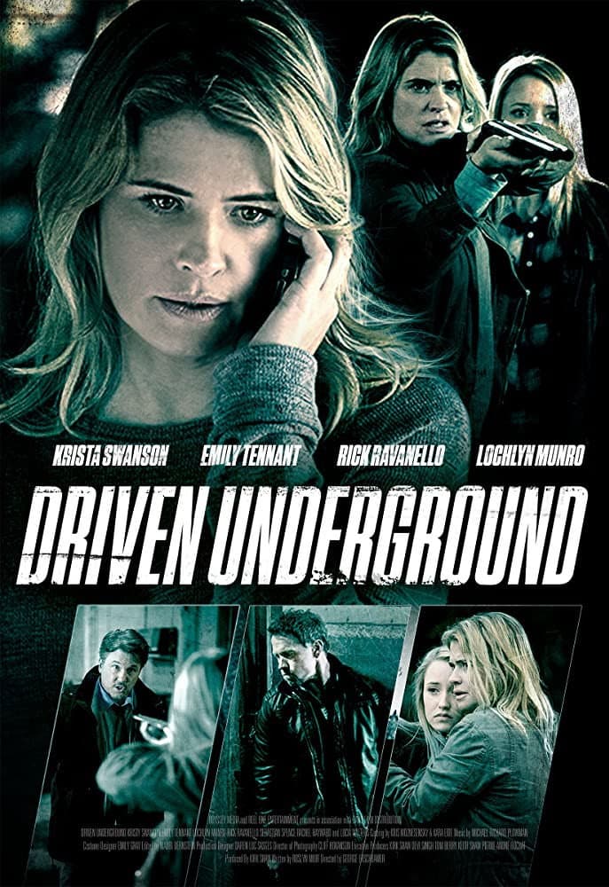 Poster di Il volto dell'assassino
