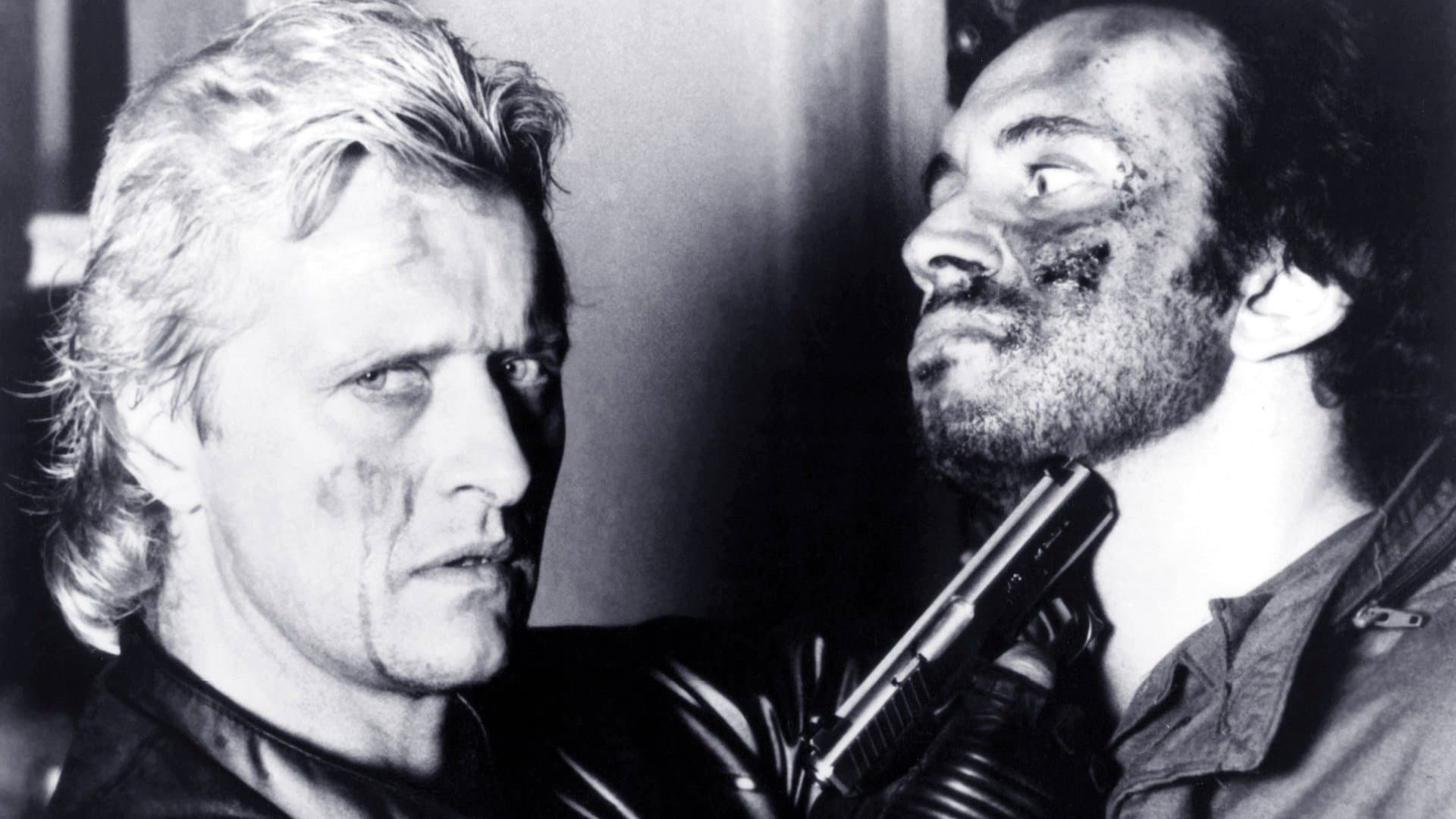 Wanted - Vivo o morto - immagine