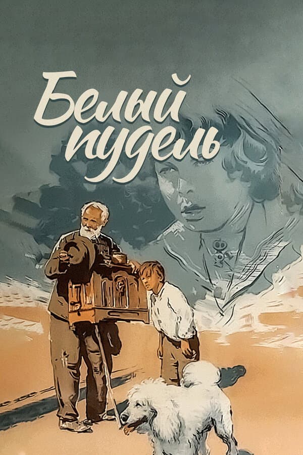 Poster di Белый пудель