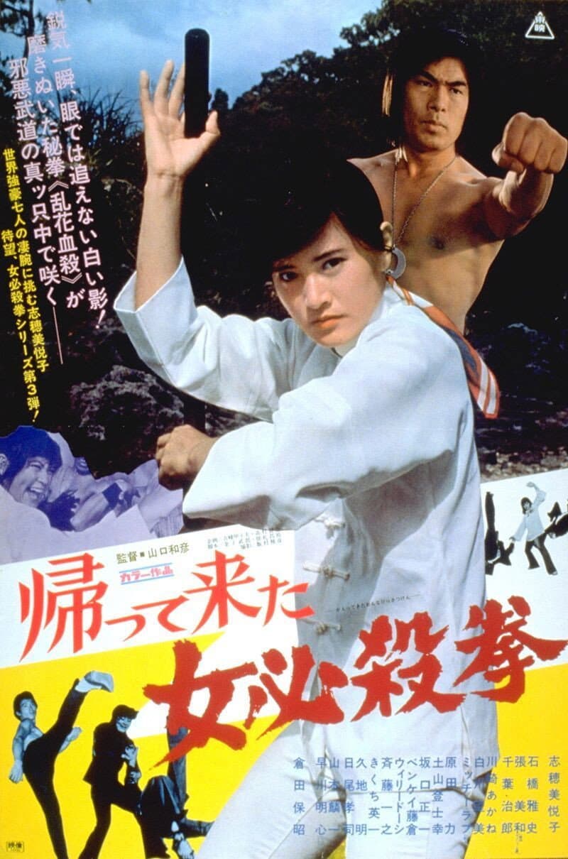 Poster di 帰って来た女必殺拳
