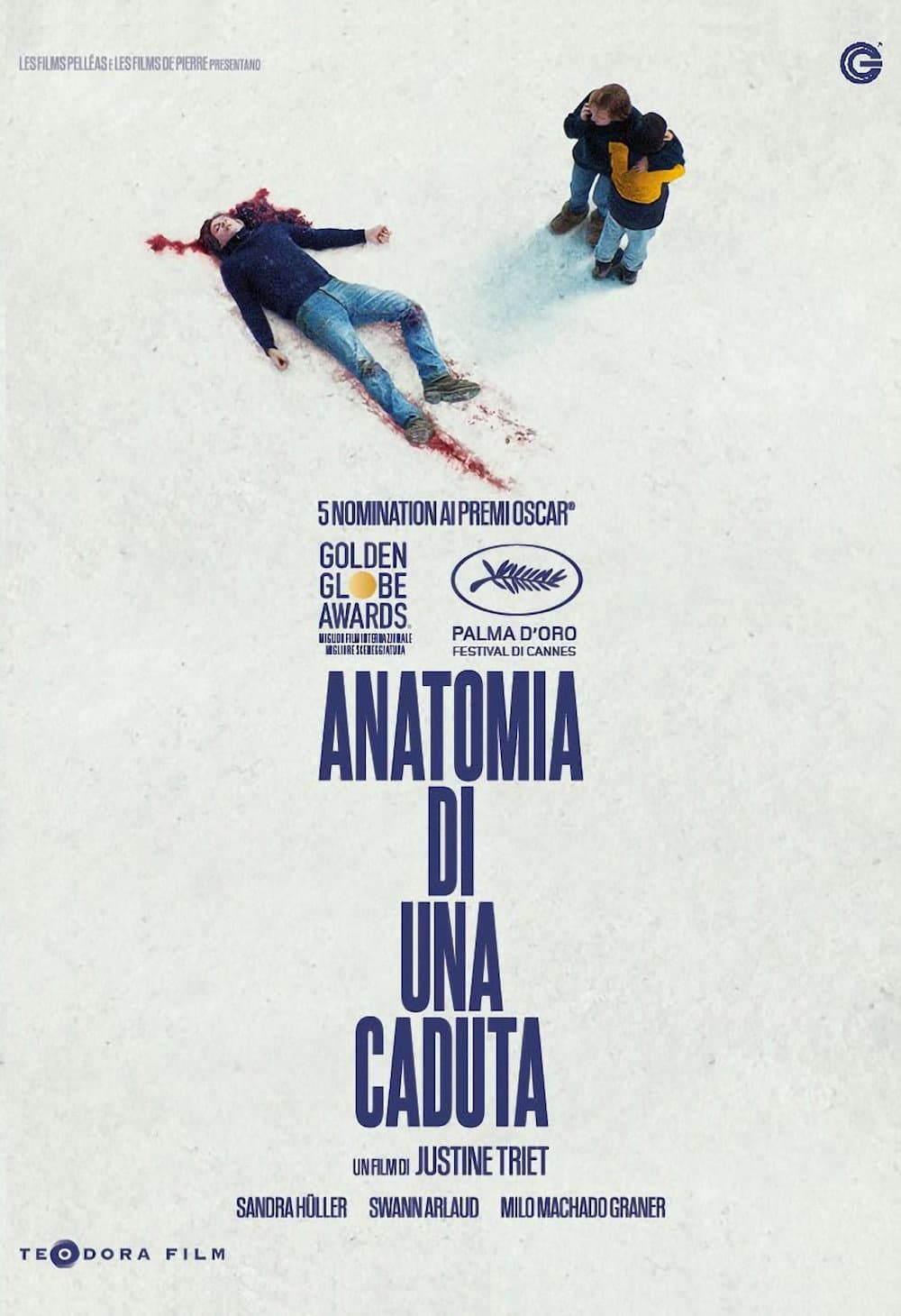 Poster di Anatomia di una caduta