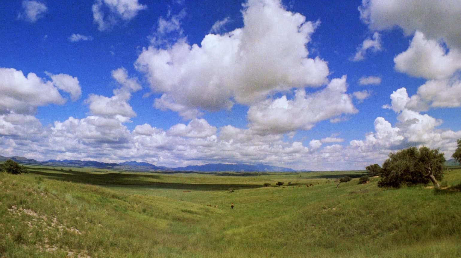 Oklahoma! - immagine