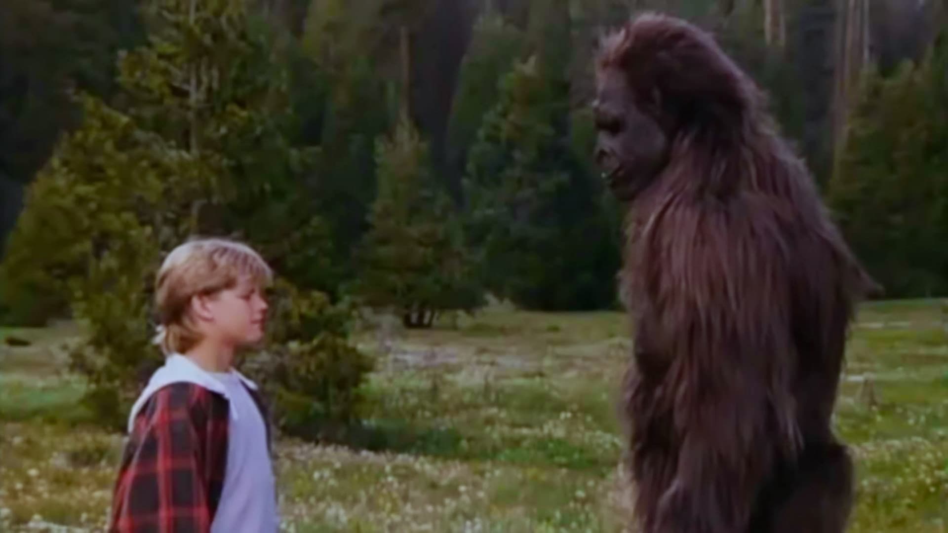 Bigfoot: The Unforgettable Encounter - immagine