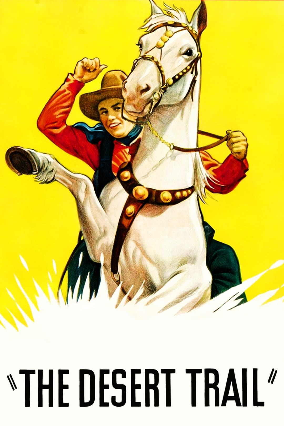 Poster di The Desert Trail