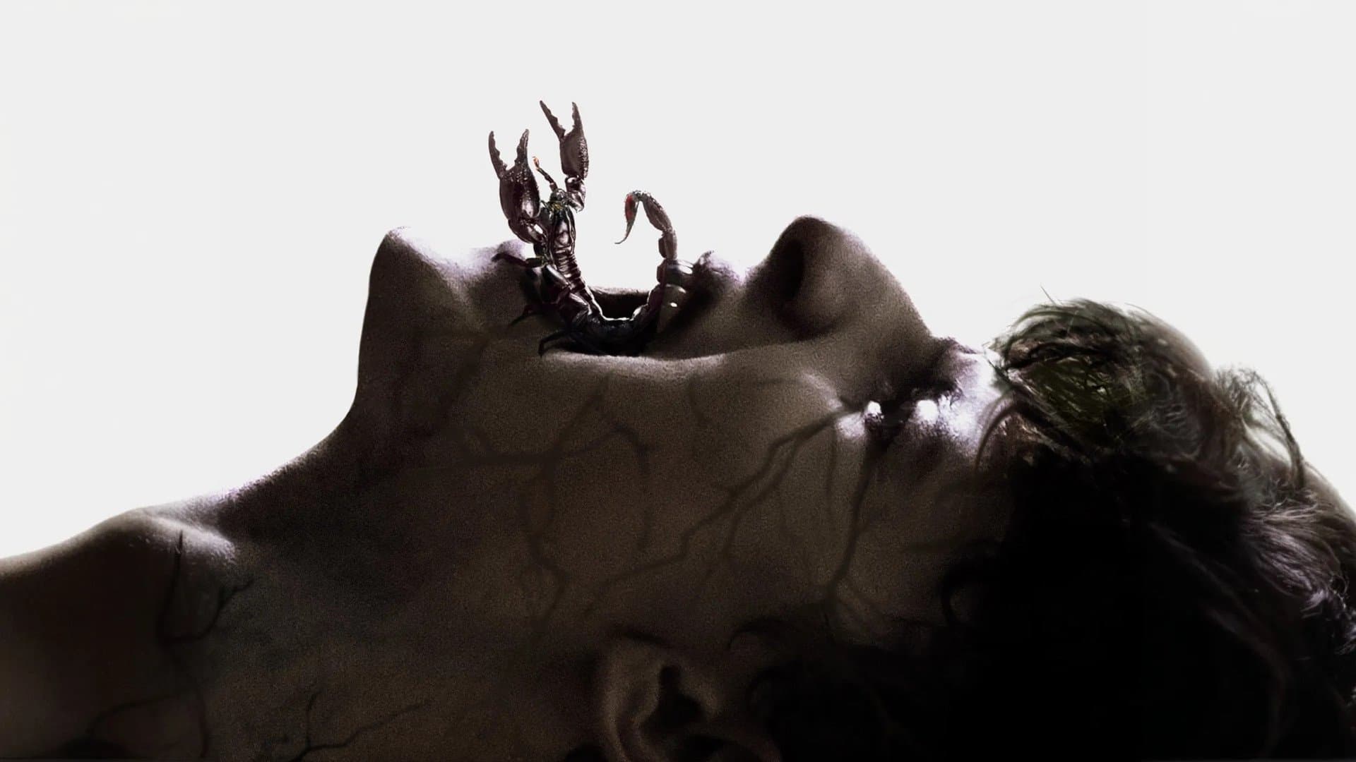Shaman - immagine