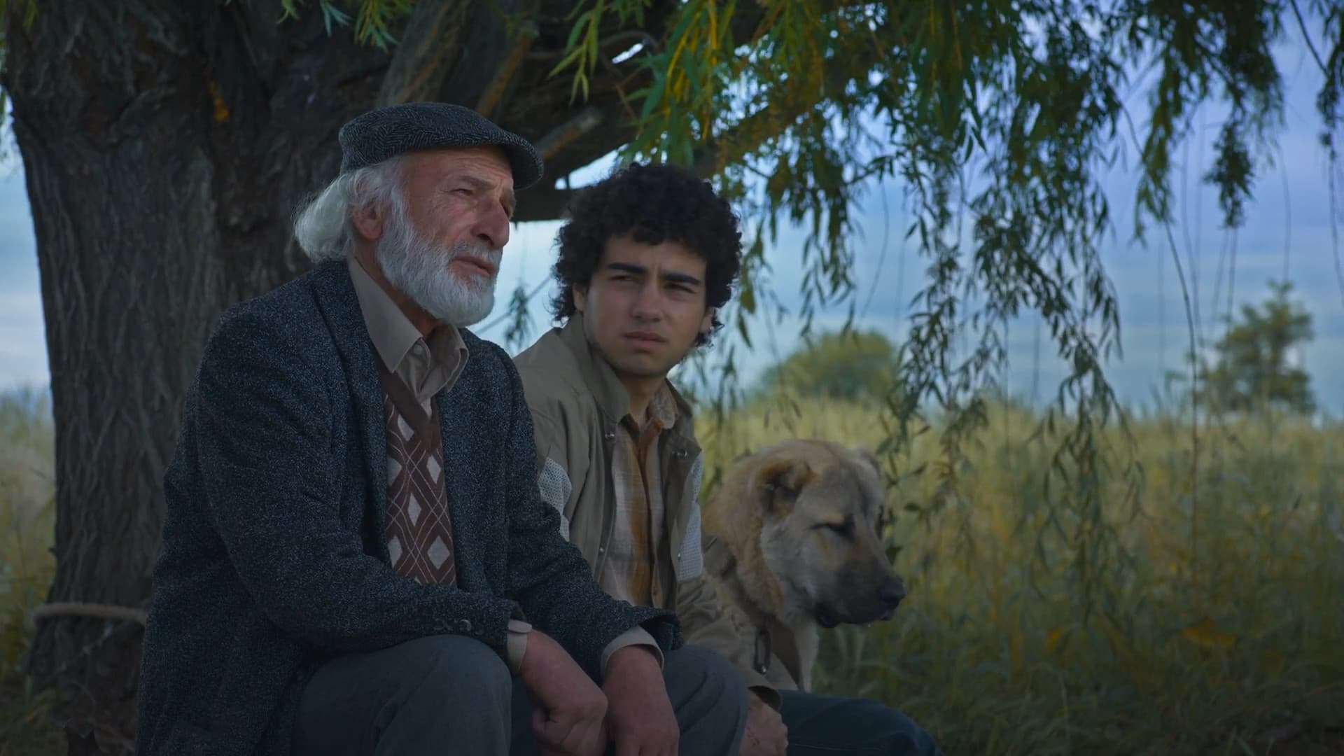 Արարատ Կղզի - immagine