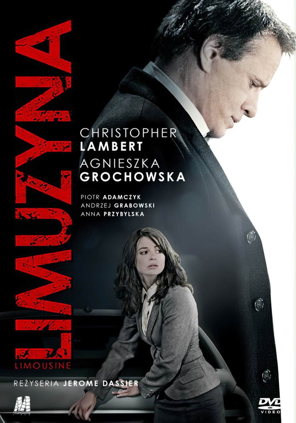 Poster di Limousine
