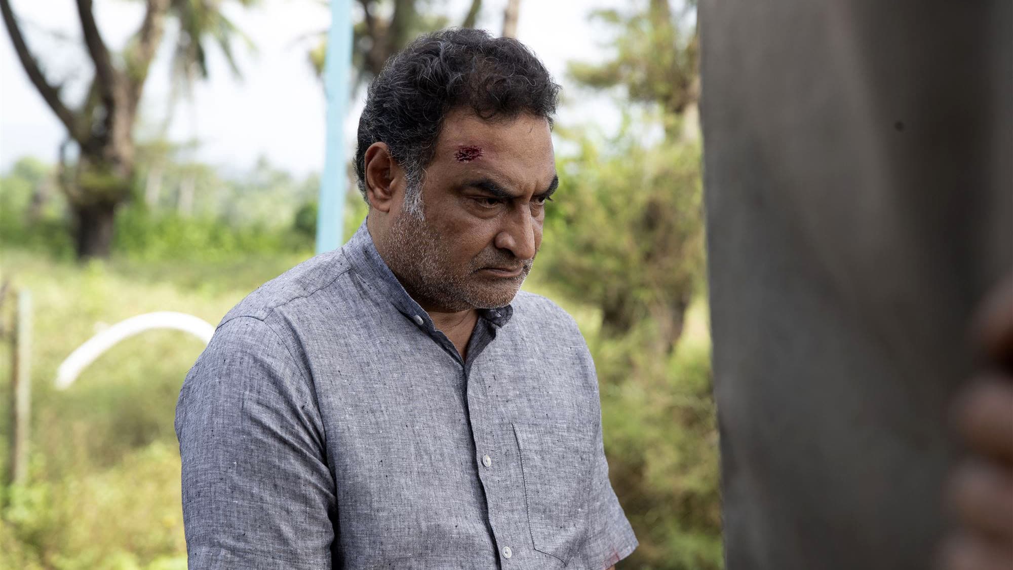 ഒറ്റ് - immagine