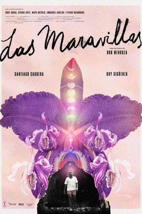 Poster di Las Maravillas